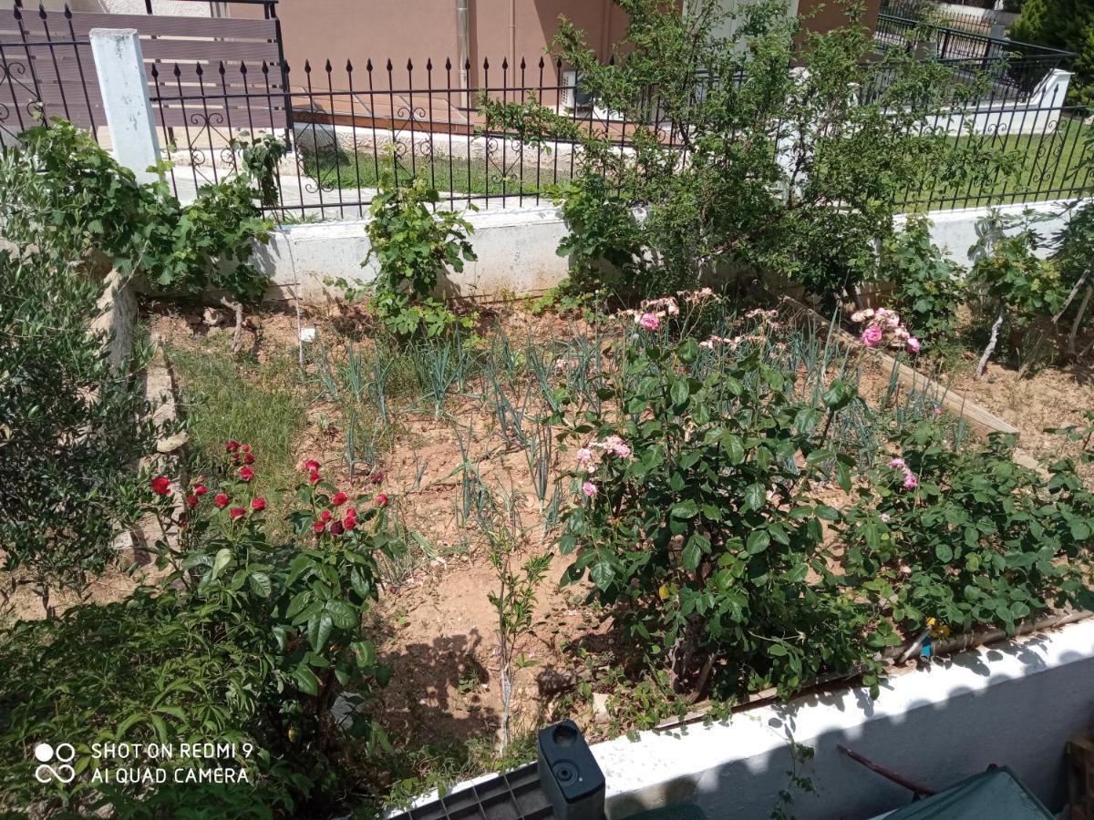 Bella-Caza Apartment Makri Ngoại thất bức ảnh